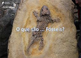 icone da notícia dos fósseis