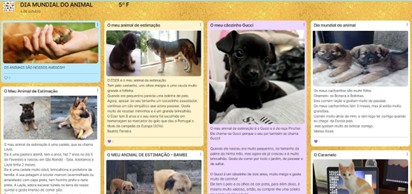 imagem alimentação 5