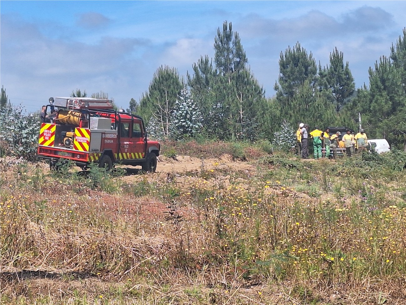 imagem 3 da Prevenção e Intervenção em Fogos Florestais