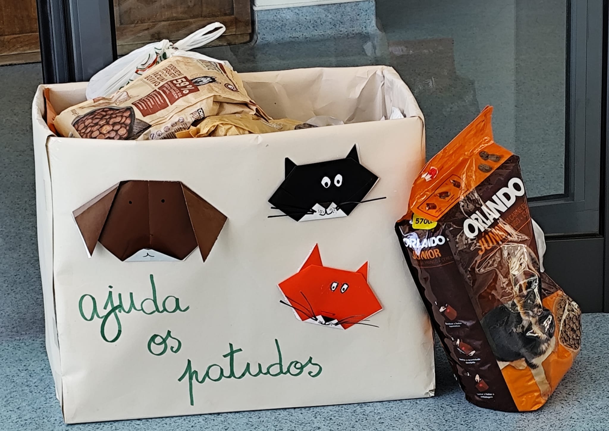 imagem 8 do projeto patudos